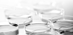 ABOUT-DR-DERMIS_01a