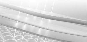 THE-SKIN-DERMIS-LAYER_01a