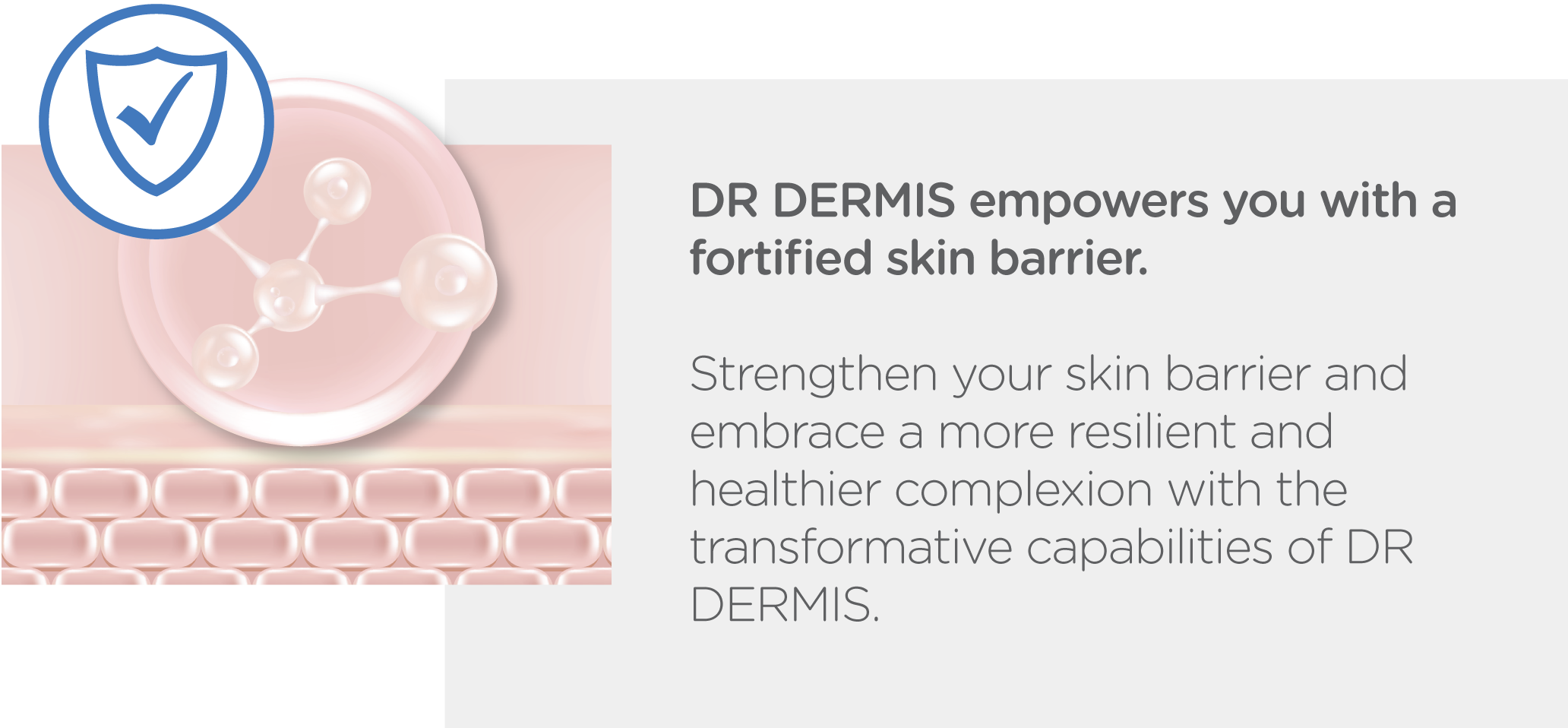 STRENGTHENS-SKIN-BARRIER_02b
